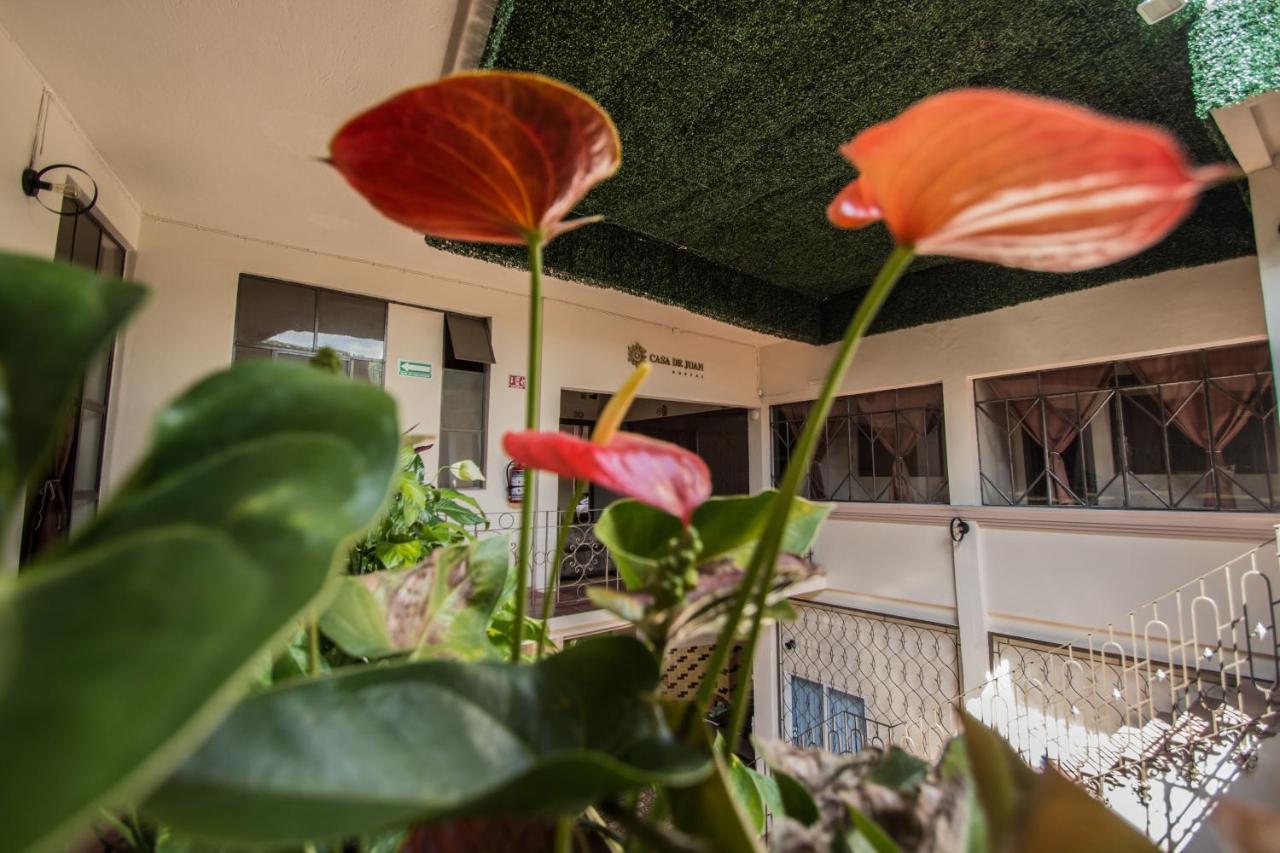 Casa De Juan Hostal Xalapa Buitenkant foto